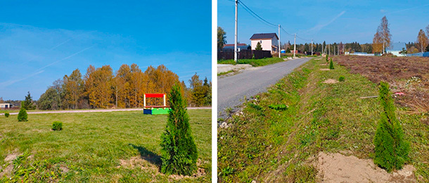 Озеленение посёлка Троицкий Лес